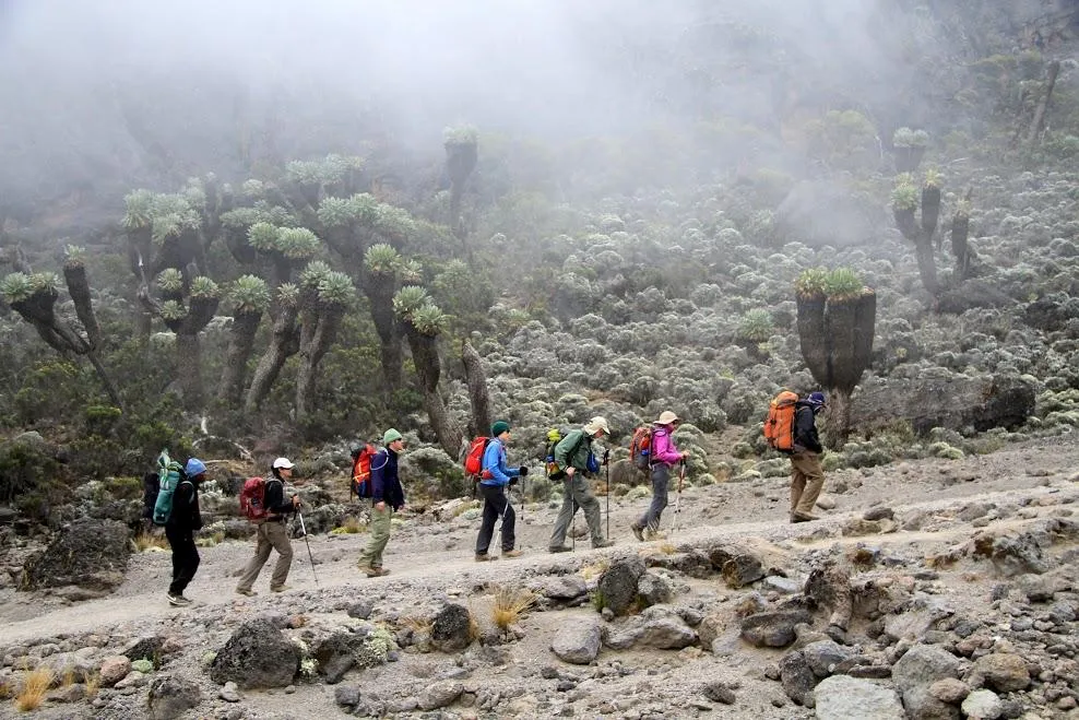 6-Day Northern Circuit Highlights Safari